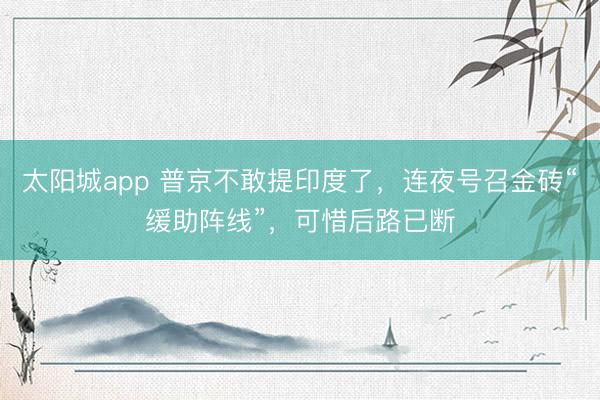 太阳城app 普京不敢提印度了，连夜号召金砖“缓助阵线”，可惜后路已断